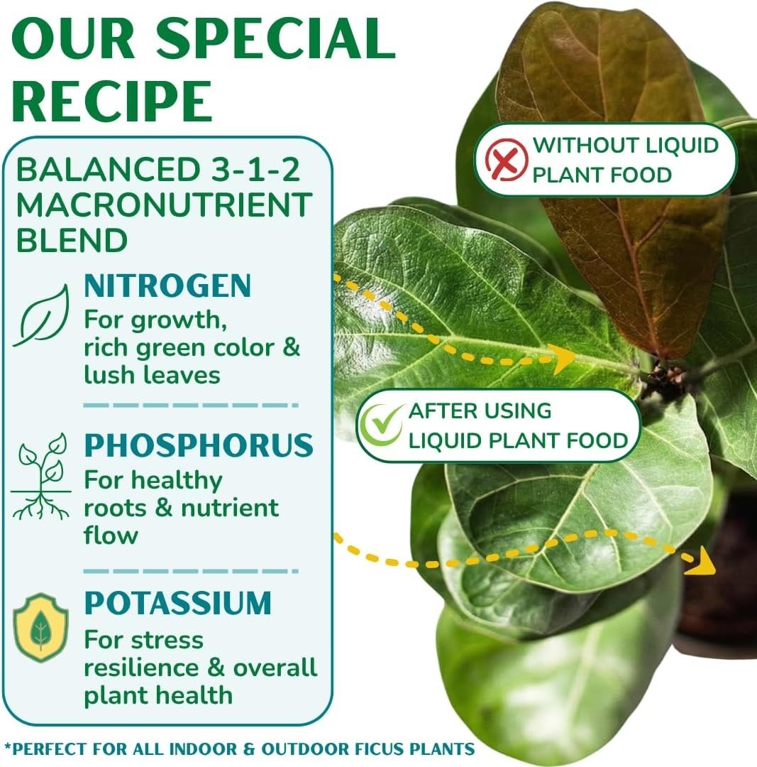 Fiddle Leaf Fig Nutrient Boost – 8 oz 3-1-2 Liquid Fertilizer with Care E-Book