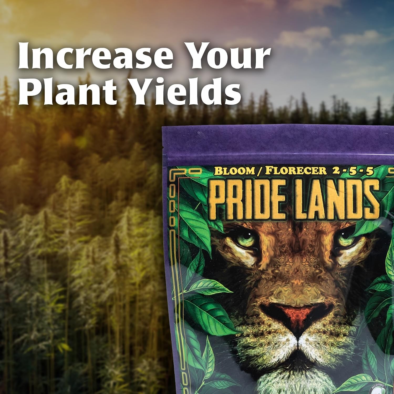 Pride Lands Bloom 2-5.5-5.5 Organic Dry Top Dress Fertilizer Microbes Biochar