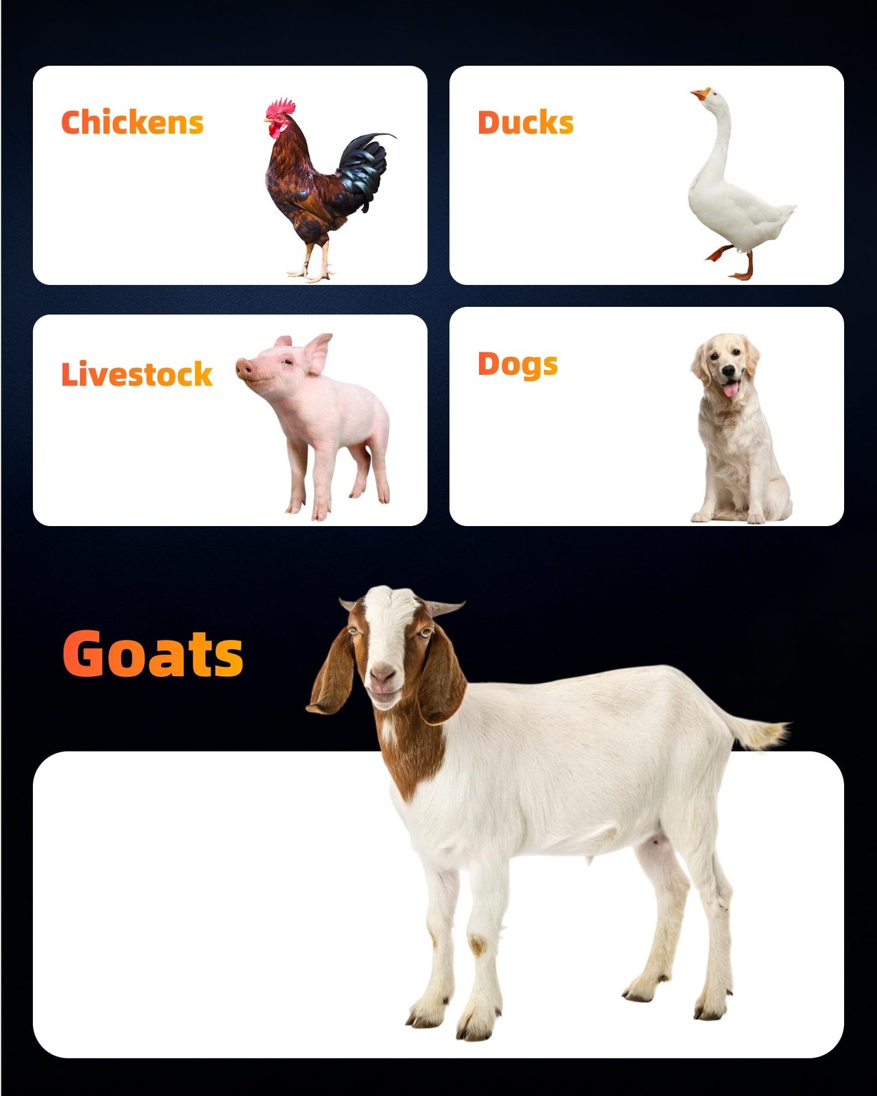 10-Pack 5 Qt Hanging Goat Feeders and Mineral Troughs for Fences | Thick plas…