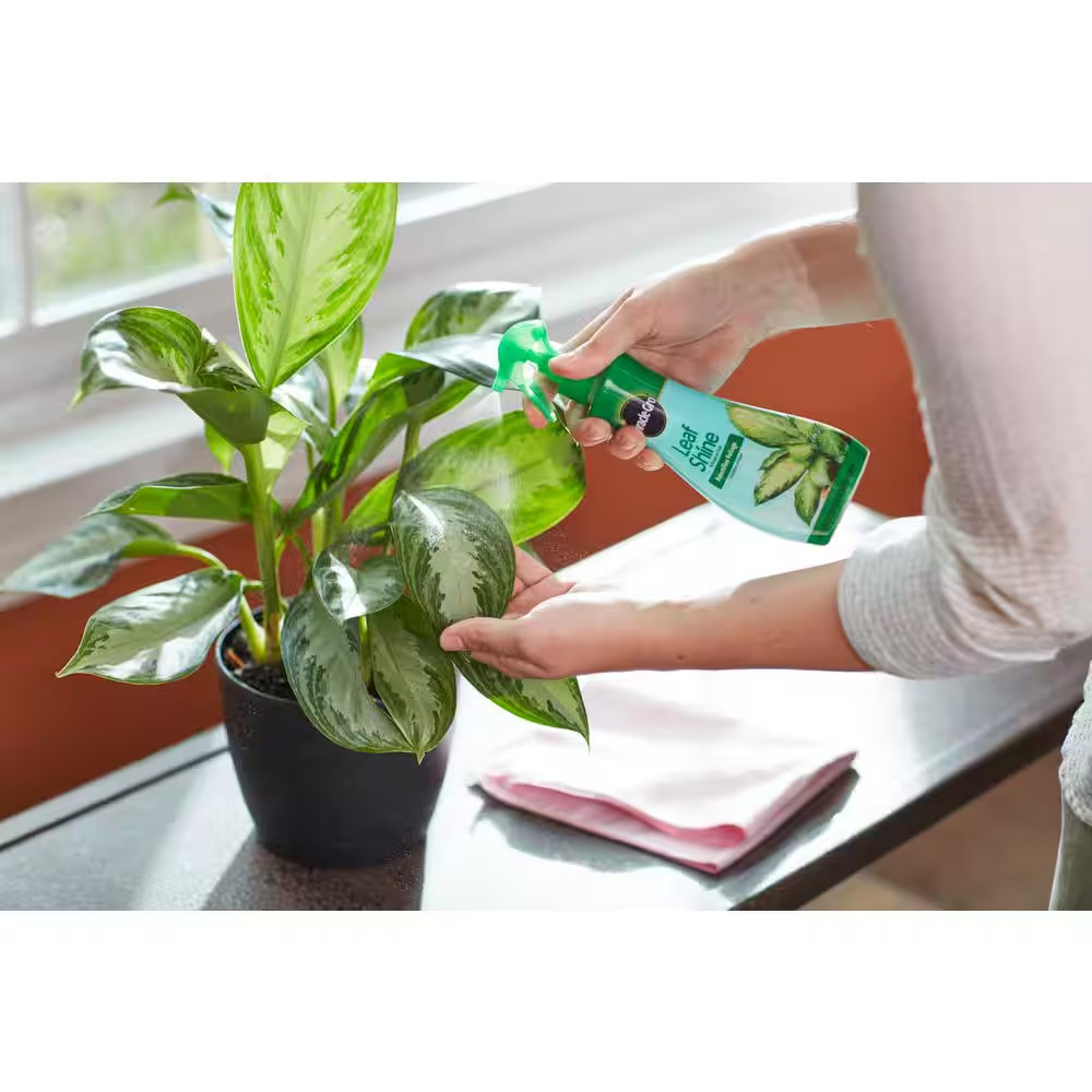 8 Fl. Oz. Leaf Shine Spray Cleans Hard-Leaved Foliage Plants (2-Pack)