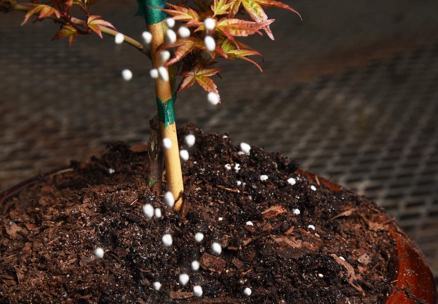 Bonsai Fertilizer Slow Release Plant Food for All Bonsai Tree Varieties 2 Pack