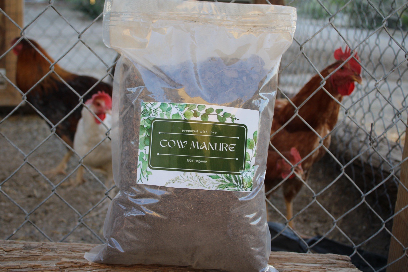 Organic Cow manure