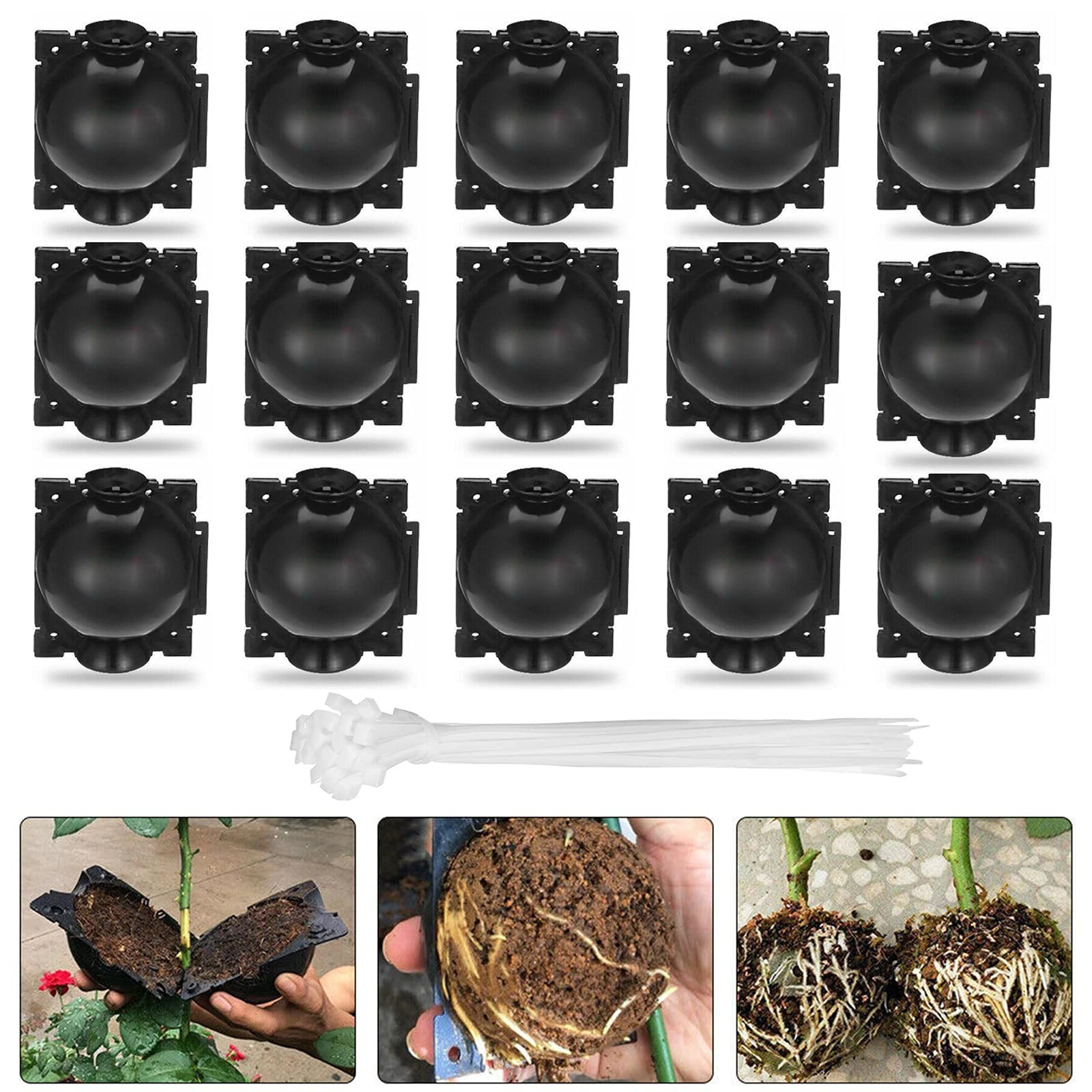 nutroeno 15 pcs Plant Root Growing Cloning – Layering Reusable Plant Rooting …