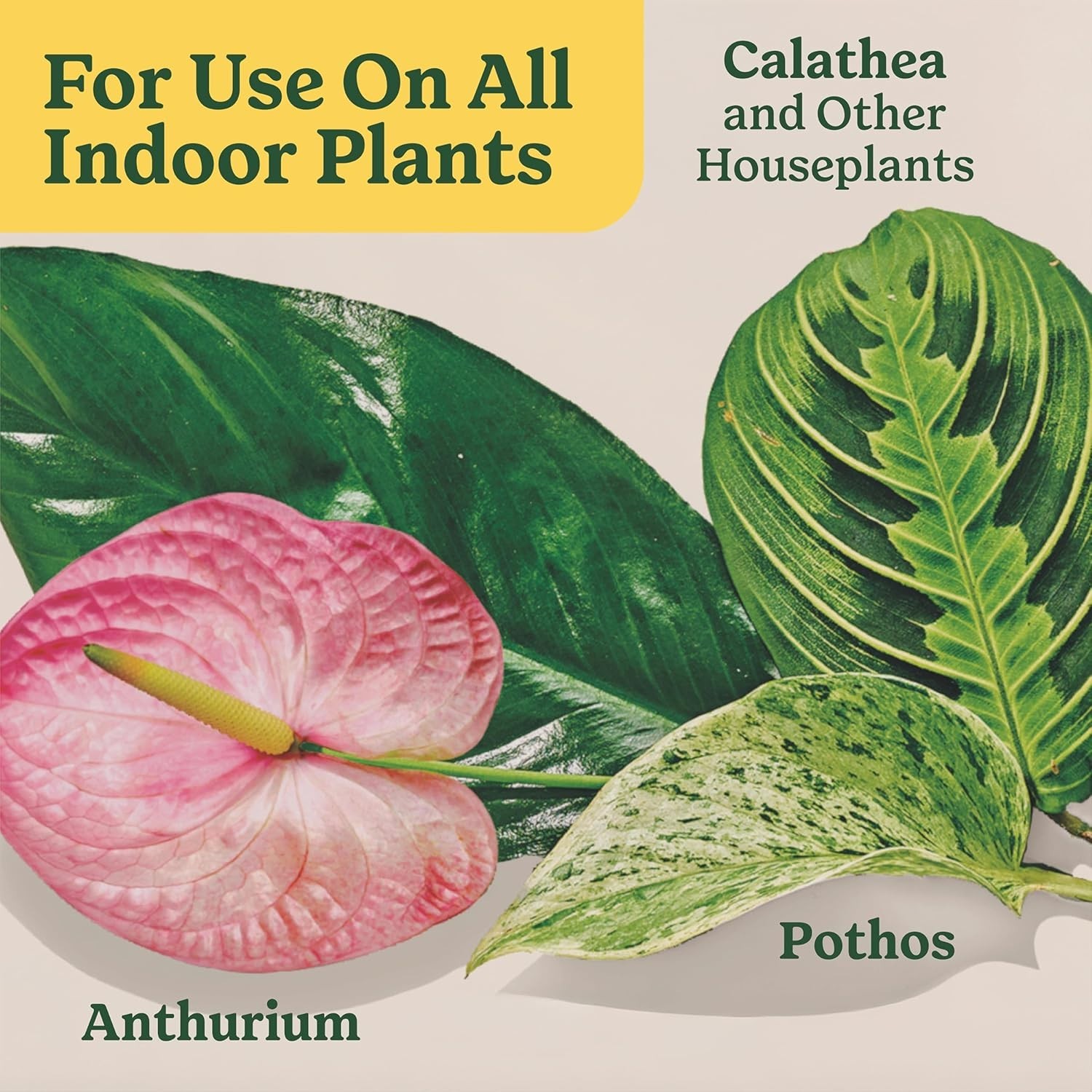 All-Purpose Plant Food – 2 Bottles of 8 fl. oz. Liquid for Healthy Houseplants