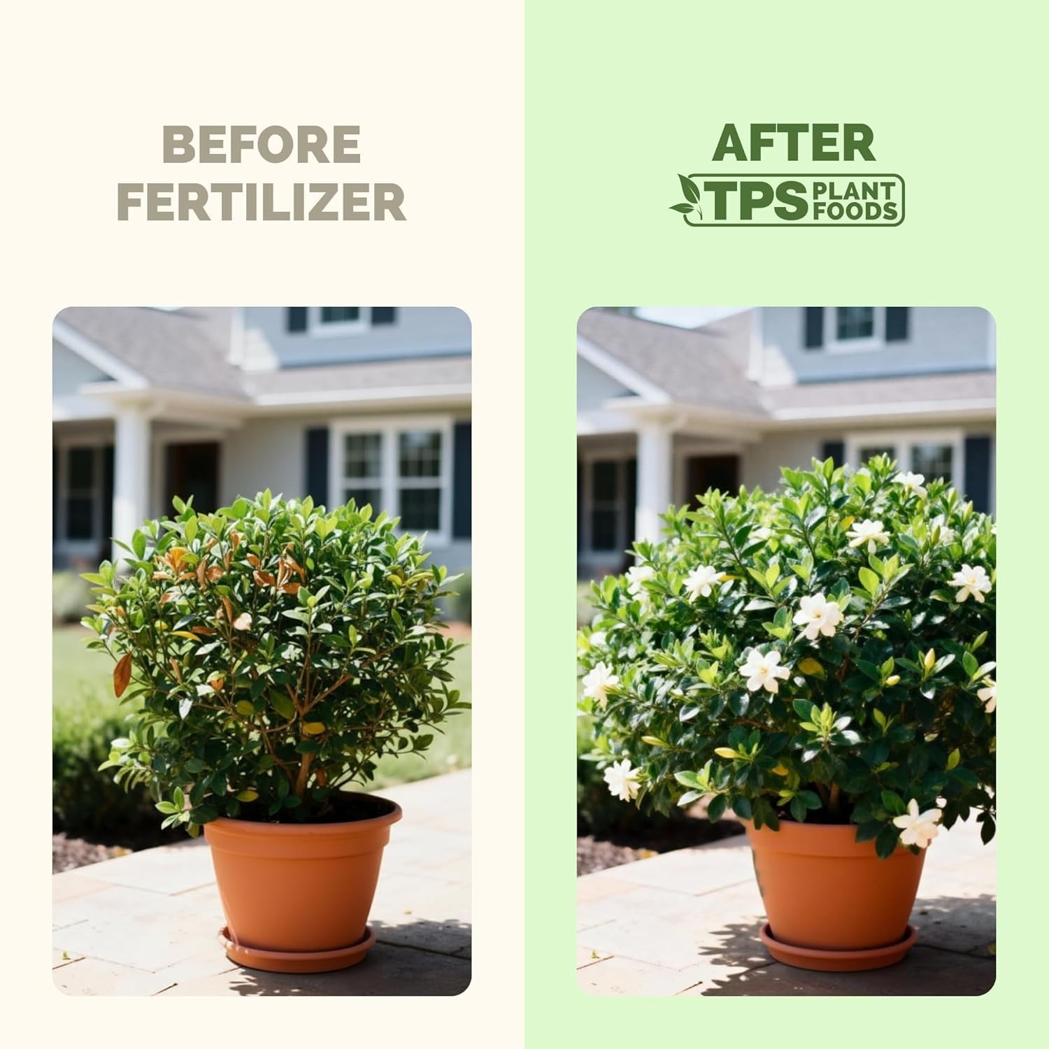Gardenia Nutrient-Rich Liquid Fertilizer – Supports Blooming & Leaf Growth, 8 oz