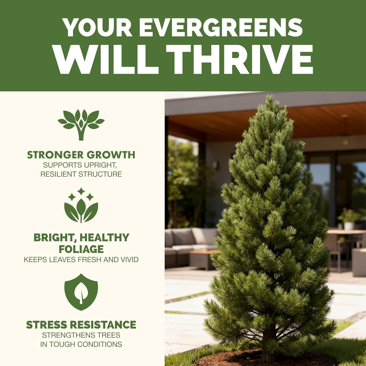 Evergreen Tree Fertilizer – Liquid Plant Food Rich Green Needles Stronger Roots