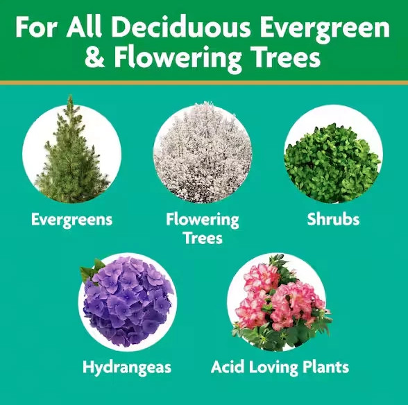 Tree and Shrub Plant Food Spikes 3 lb. For Deciduous, Flowering and Evergreen