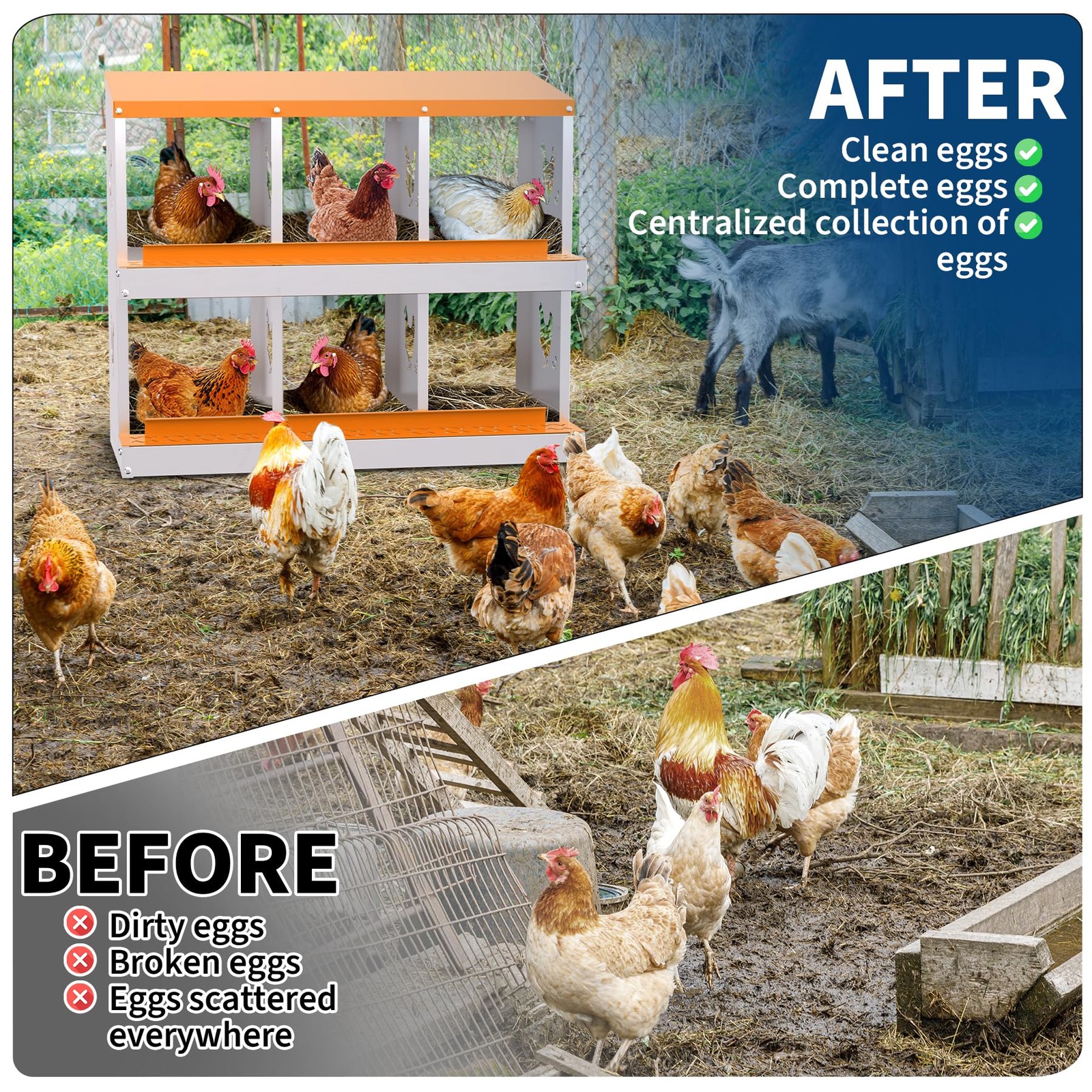 Peakpursuit Chicken Nesting 6 Compartment Galvanized Steel Chicken Laying Boxes