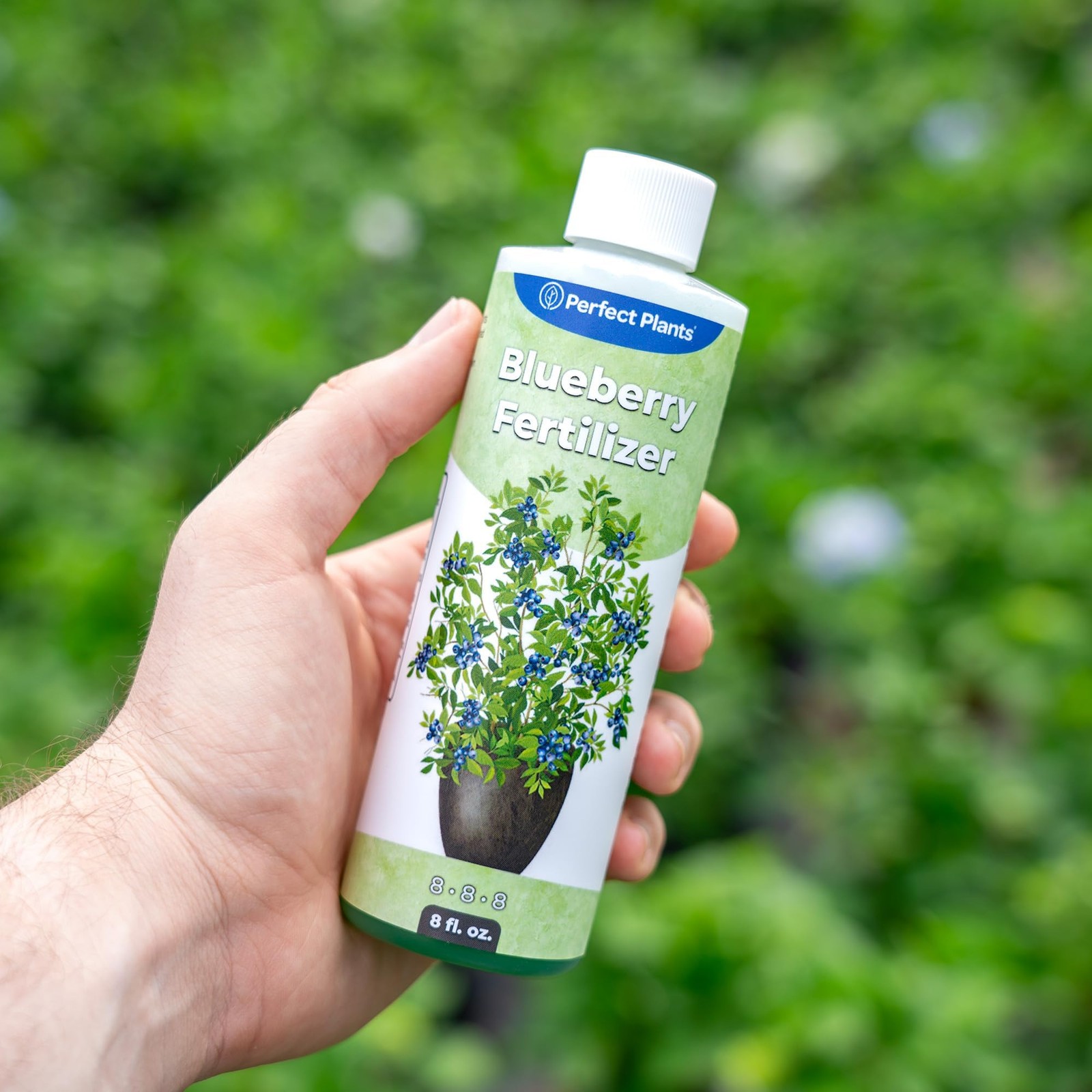 Liquid Blueberry Fertilizer by Perfect Plants | Berry Booster | Premium Ferti…