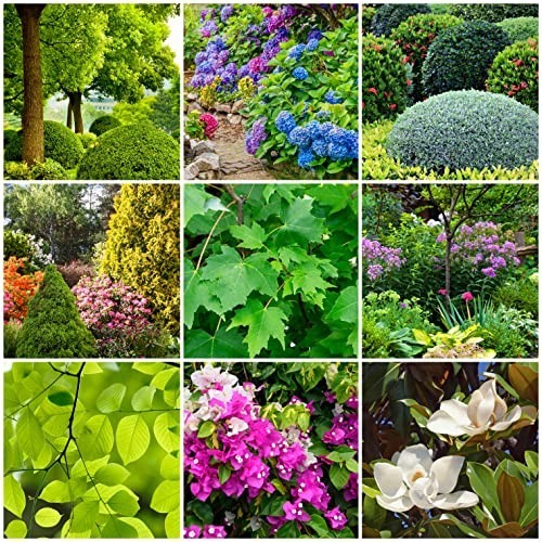 Tree Fertilizer Spikes 5 Inch 13-3-3 Nutrient Formula 24 Count 6 Lb Trees