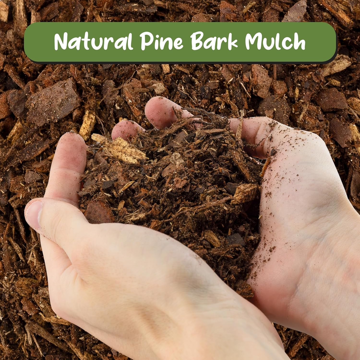 100% Natural Pine Bark Mulch Nuggets (12 Quarts) Small Chips for Indoor/Outdoor