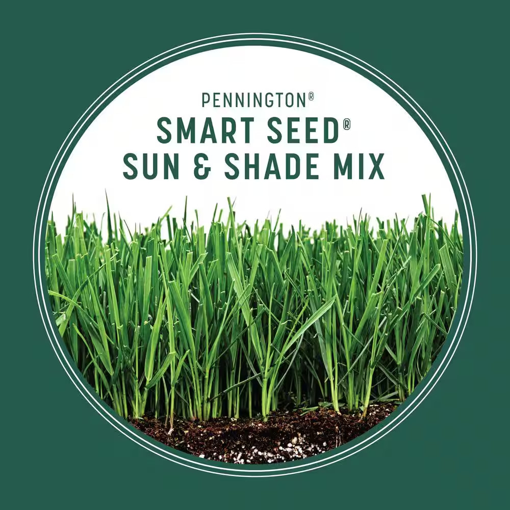 Smart Seed Sun and Shade North 3 Lb. 750 Sq. Ft. Grass Seed and Lawn Fertilizer