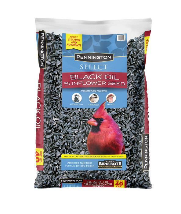 Pennington Select Black Oil Sunflower Seed Wild Bird Dry Feed, 40 lb. Bag