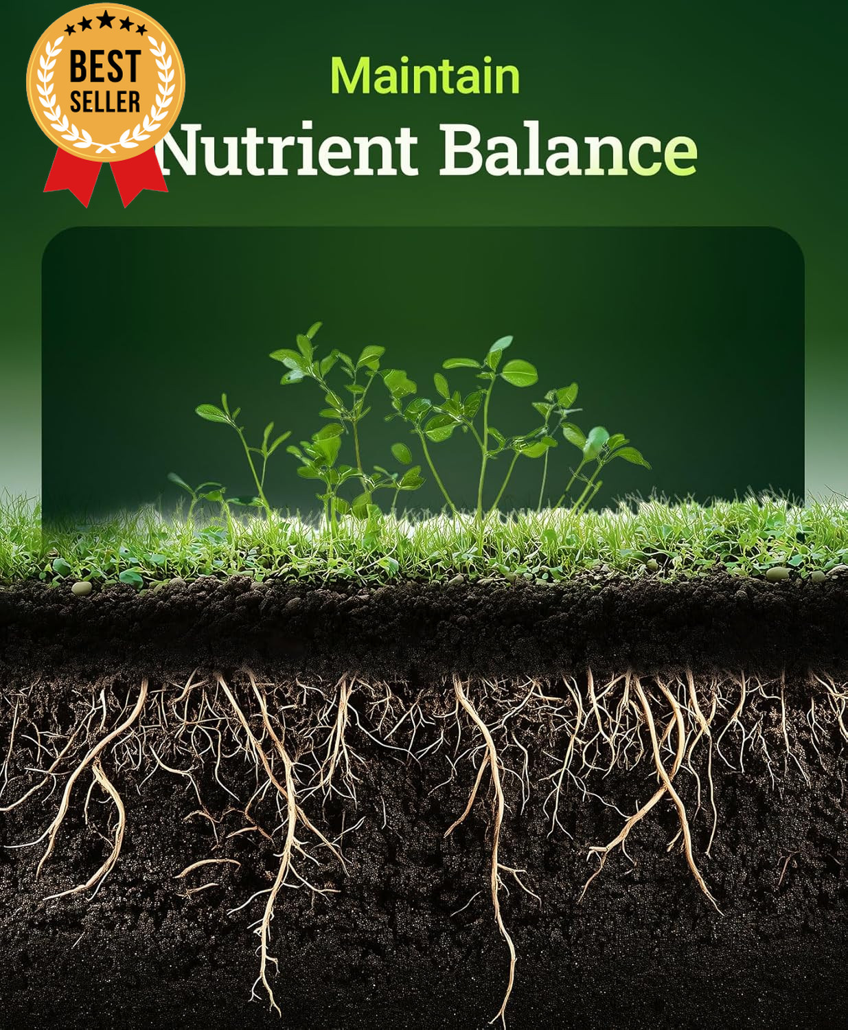 Cal Mag Plant Supplement 1-0-0 Calcium Magnesium Fertilizer Organic Gardening