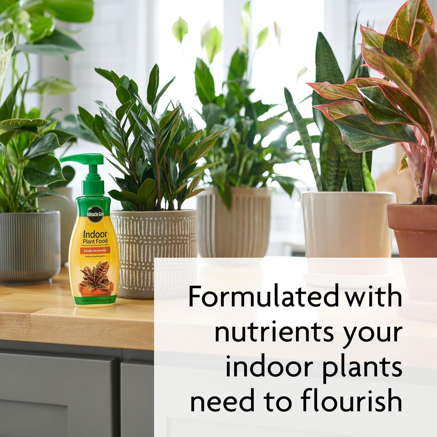 Miracle-Gro Indoor Plant Food – 2-Pack Liquid Solution for All Houseplants