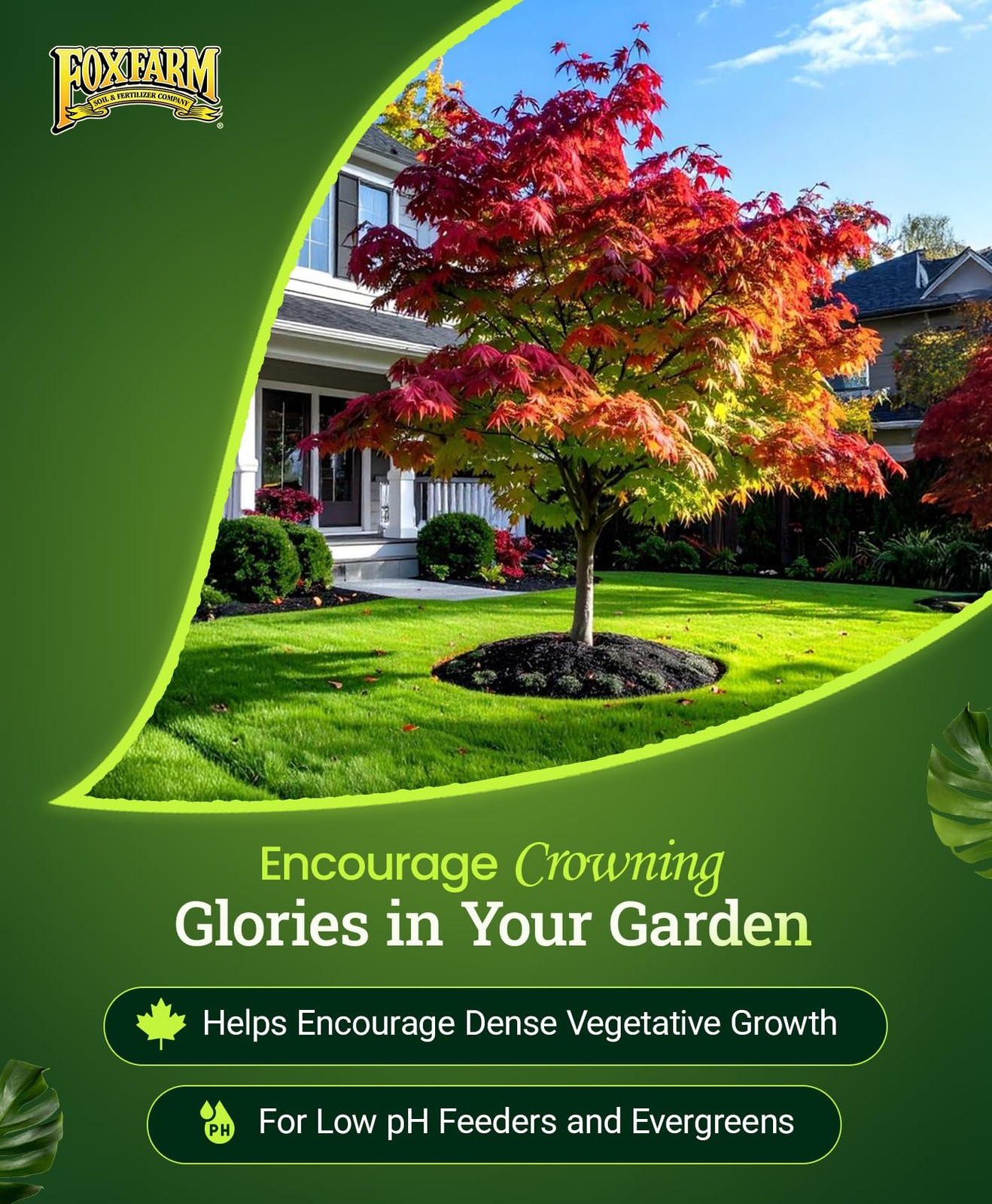 FoxFarm Happy Frog Japanese Maple Fertilizer Supports Vegetative Growth & Strong