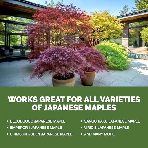 Liquid Fertilizer for Japanese Maple – Vibrant Color, Strong Roots, 1 Gallon