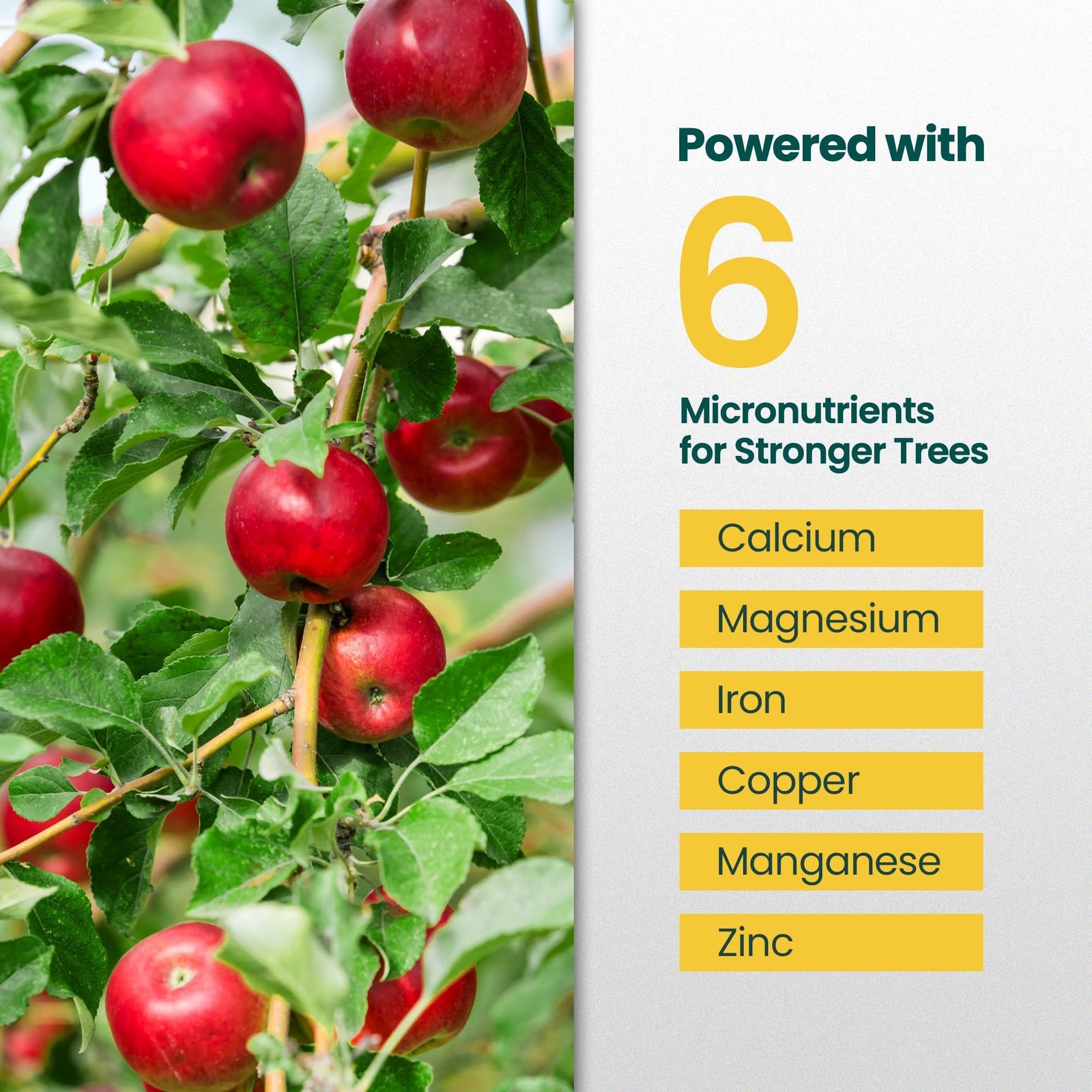 16oz Fruit Tree Fertilizer – Makes 16 Gallons of Fruit Tree Spray Plant Ferti…