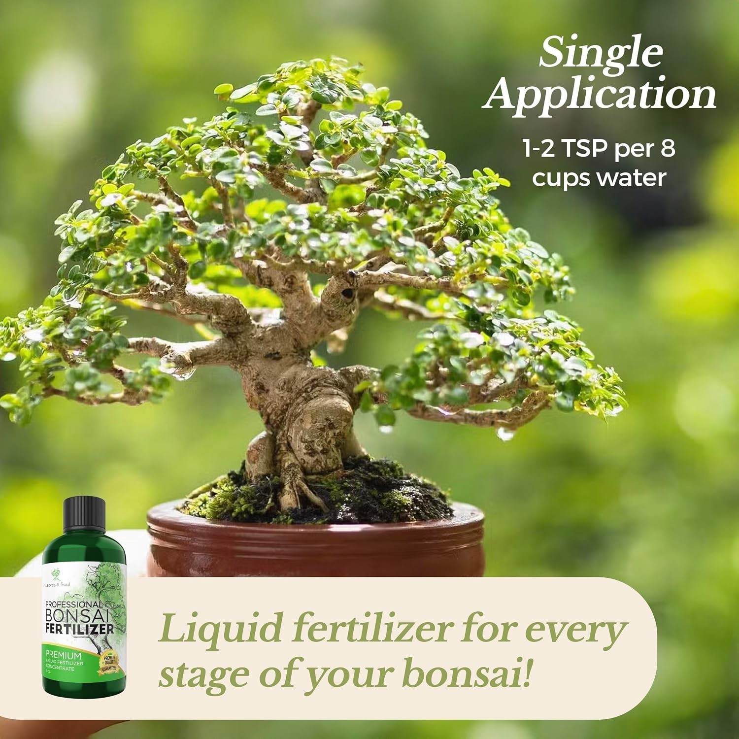 Liquid Bonsai Fertilizer 3-1-2 – 8 oz for Strong Roots & Vibrant Growth
