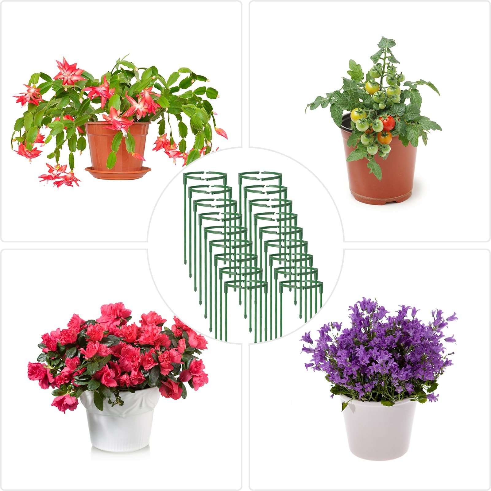 36Packs Plant Support Stake Half Round Plant Support for Indoor Plants, Stack…