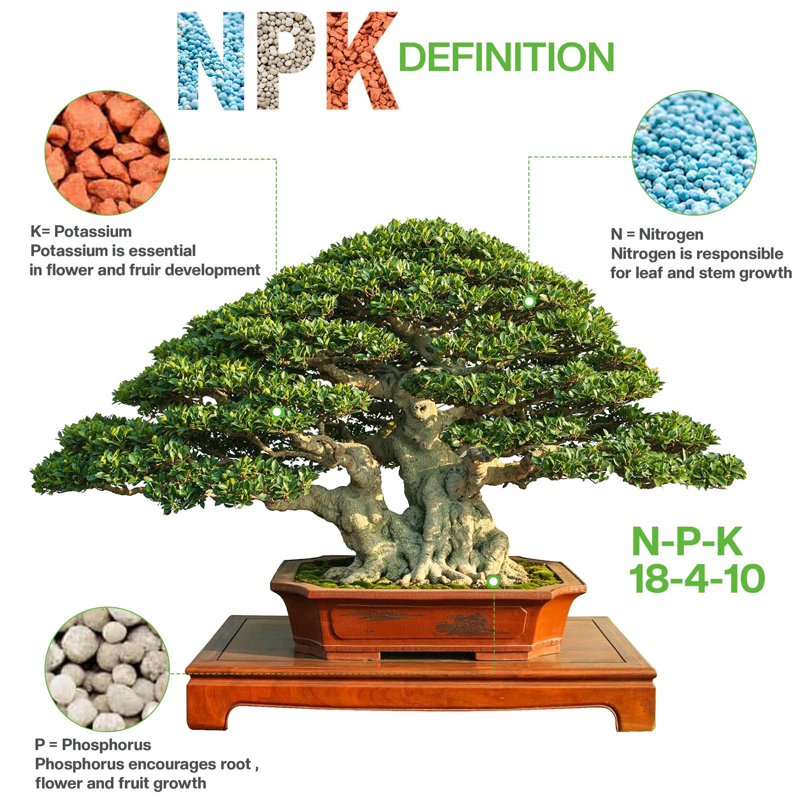 Bonsai All-Purpose Fertilizer by The Bonsai Supply – 1.8 Lbs | Quick Results …