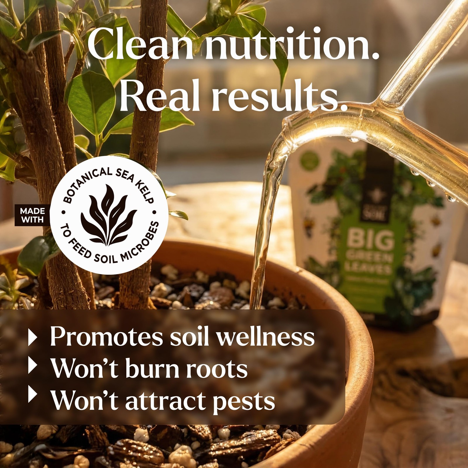 Big Green Leaves Indoor Plant Food – 4X Concentrated Houseplant Fertilizer wi…