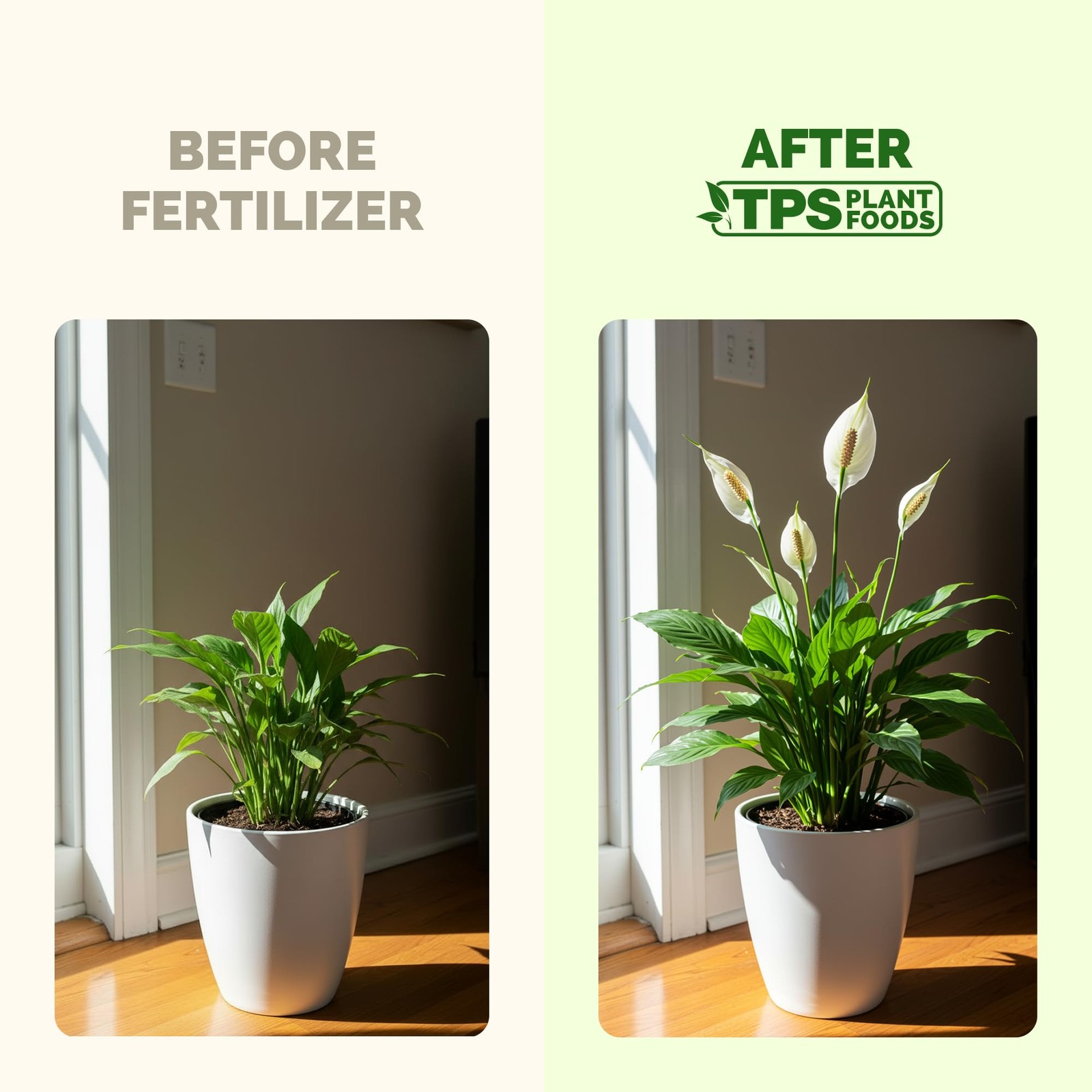 Peace Lily Fertilizer – Liquid Plant Food for More Blooms, 8 oz (1/2 Pint)