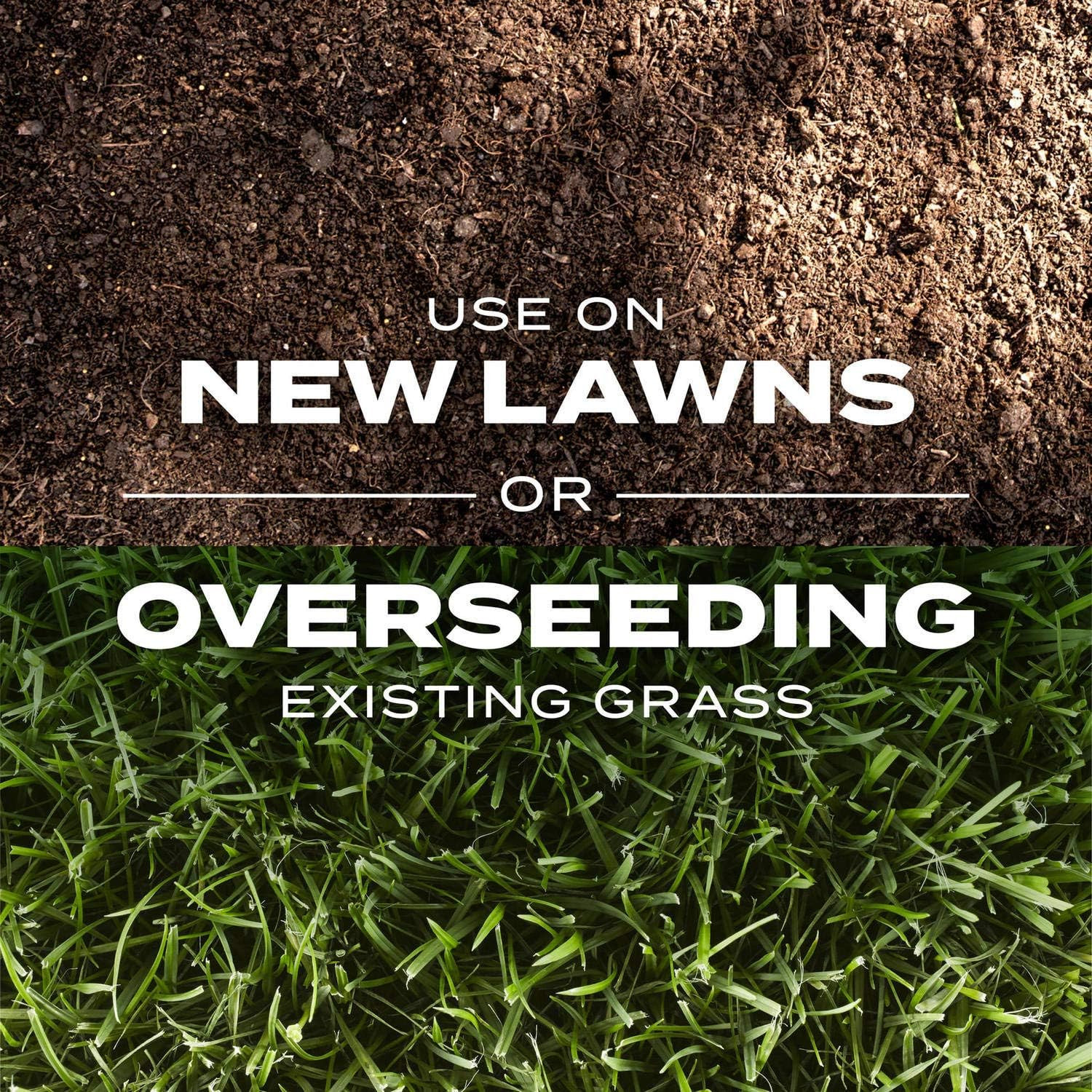Rapid Grass Sun and Shade Mix, Seed & Fertilizer Combo, Grows Green in Weeks, 16
