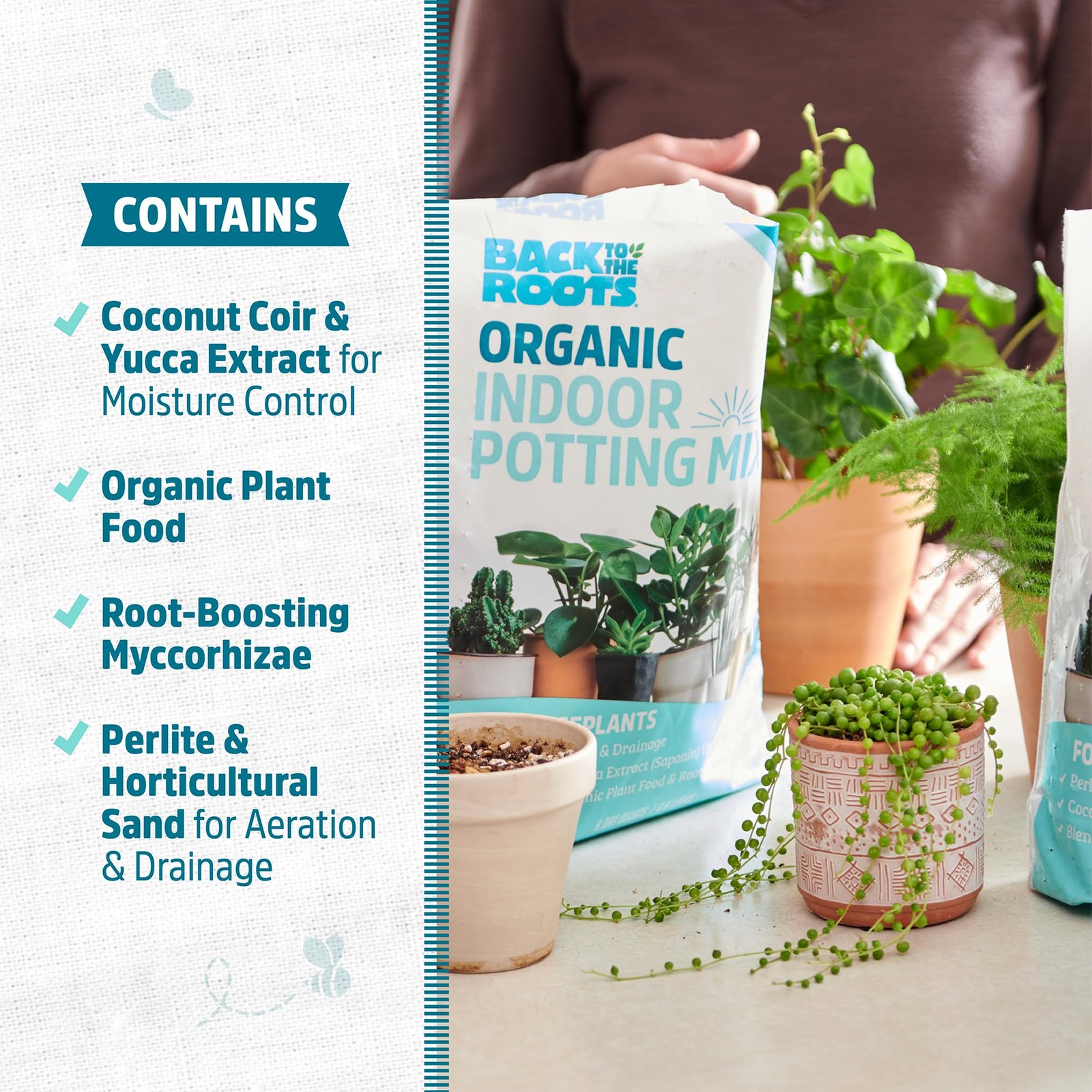 Back to the Roots 100% Organic Indoor Potting Mix (6 Quart, Soil