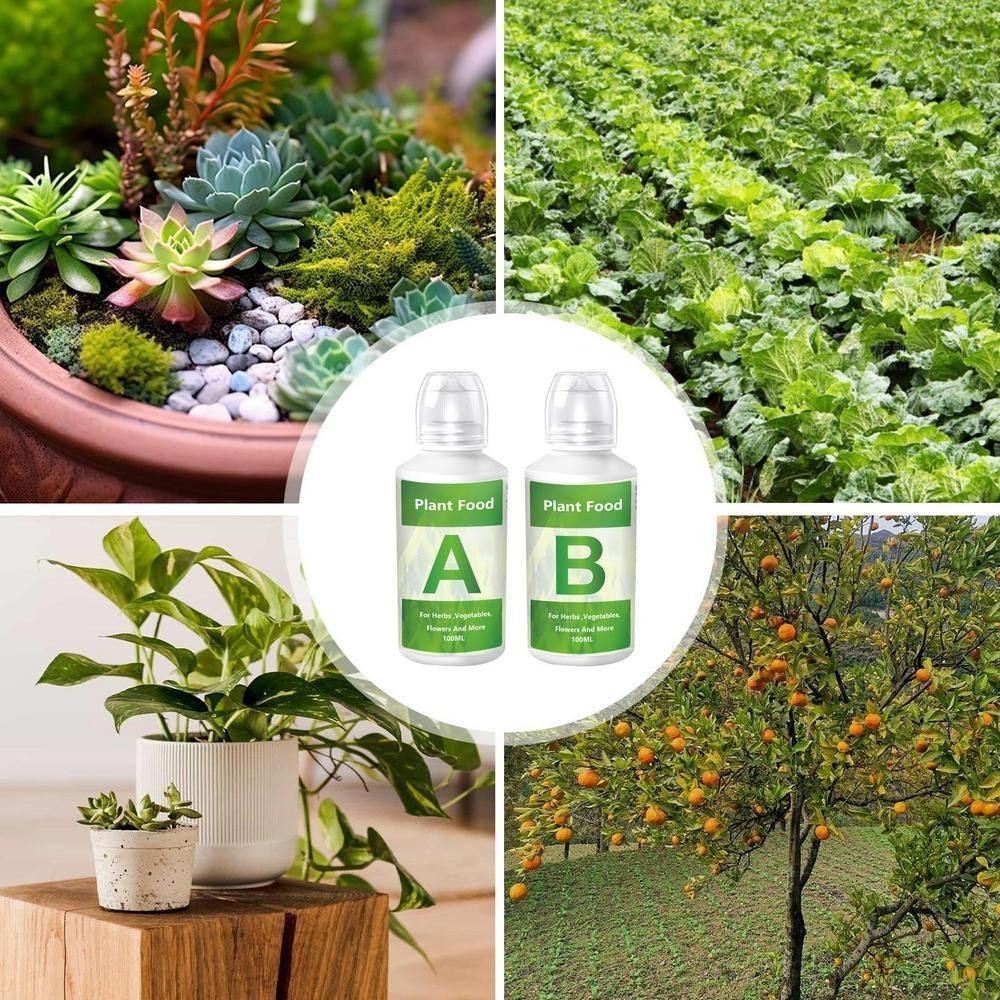 Fertilizer a and B Hydroponic Garden Plant Food Plant Fertilizer for Flowers Veg
