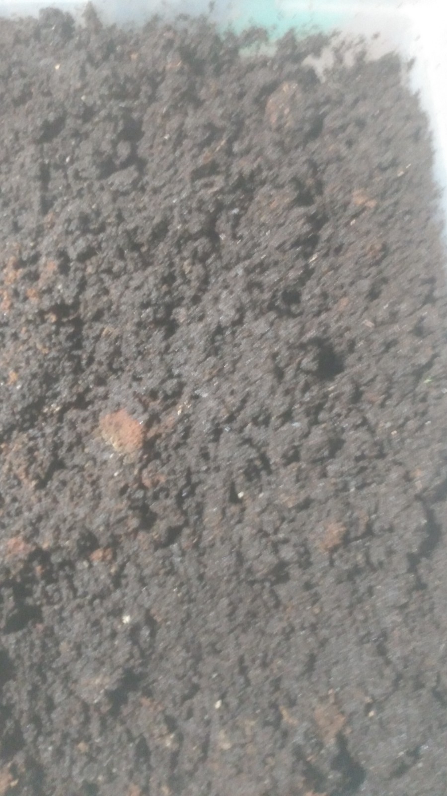 10 lbs. Freshly Sifted European Nightcrawler Worm Castings 100% Organic