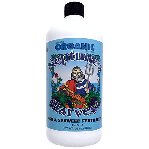 Fish & Seaweed Fertilizer 2-3-1 (36 Ounce)