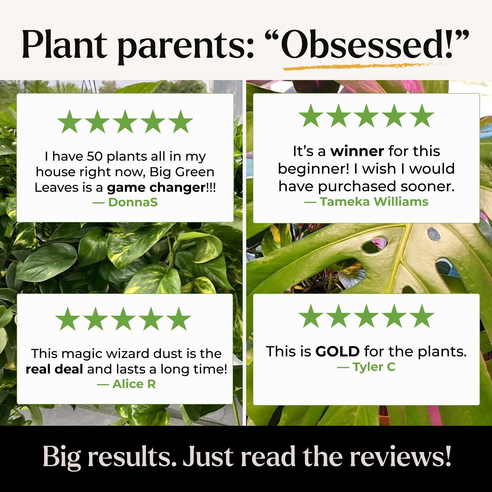 Big Green Leaves Indoor Plant Food – 4X Concentrated Houseplant Fertilizer wi…