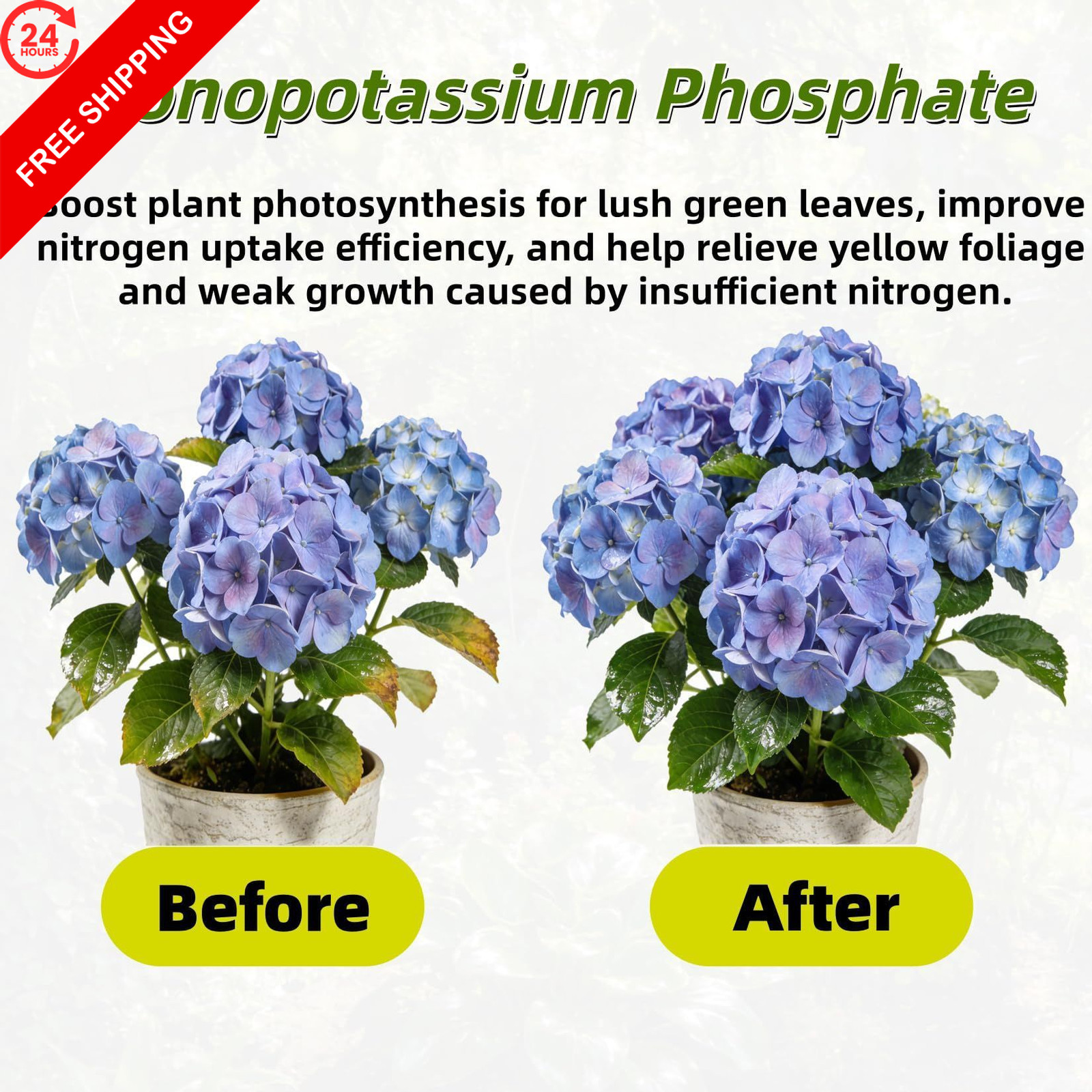 Monopotassium Phosphate MKP Fertilizer 0-52-34 Premium Grade Water 1 LB
