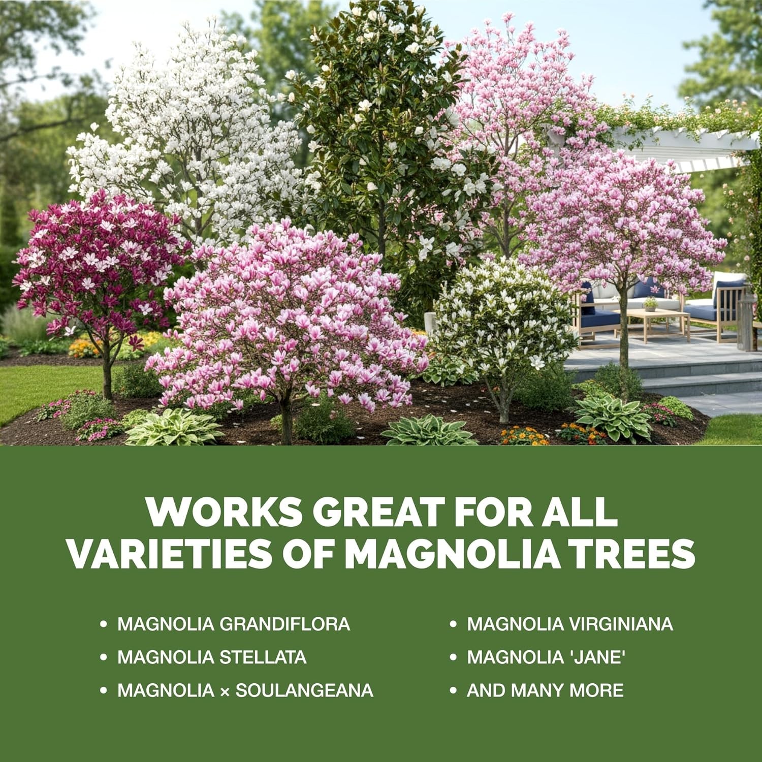 Magnolia Tree Fertilizer – Liquid Plant Food for More Blooms, Rich Green Leav…