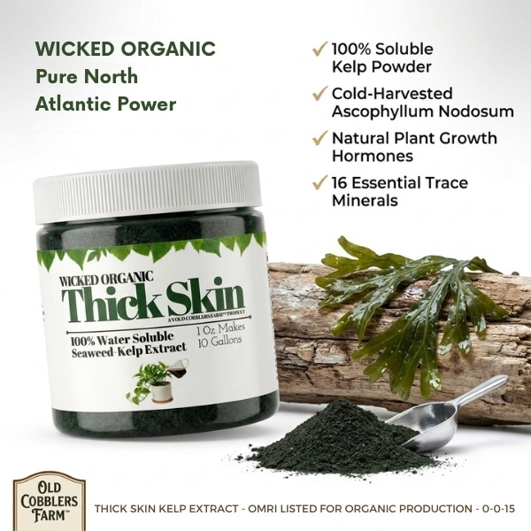 Old Cobblers Farm Wicked Organic Thick Skin Soluble Seaweed Extract Powder