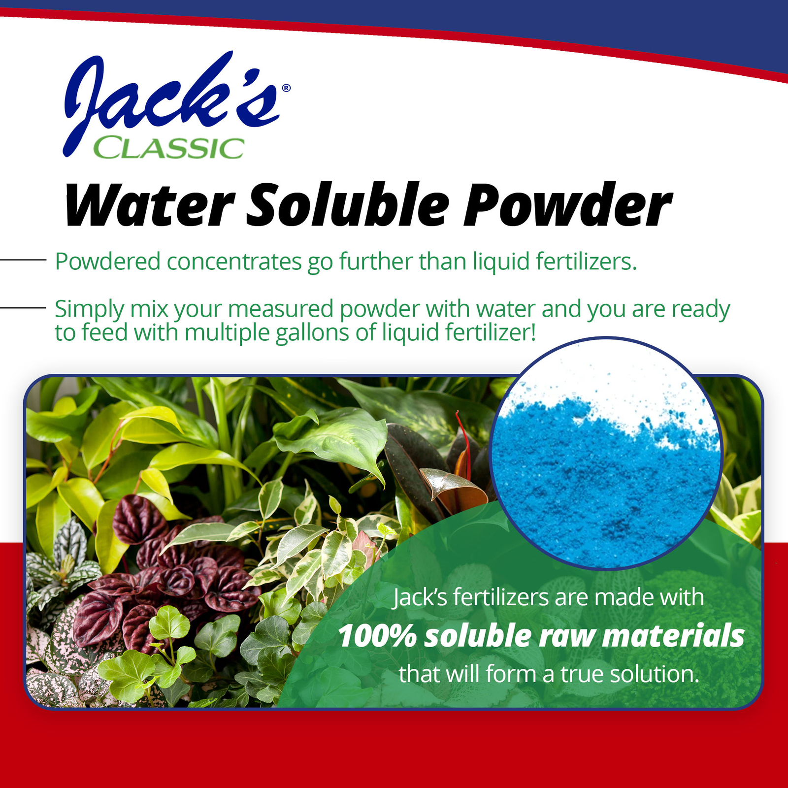 Jacks Classic 15-30-15 Houseplant Special Water Soluble Plant Fertilizer, 8oz
