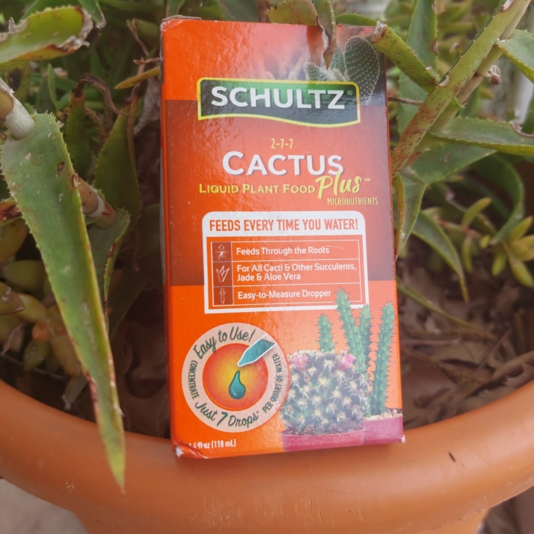 SCHULTZ Cactus Liquid Plant Food For Succulents | 2-7-7 | 4 fluid oz.