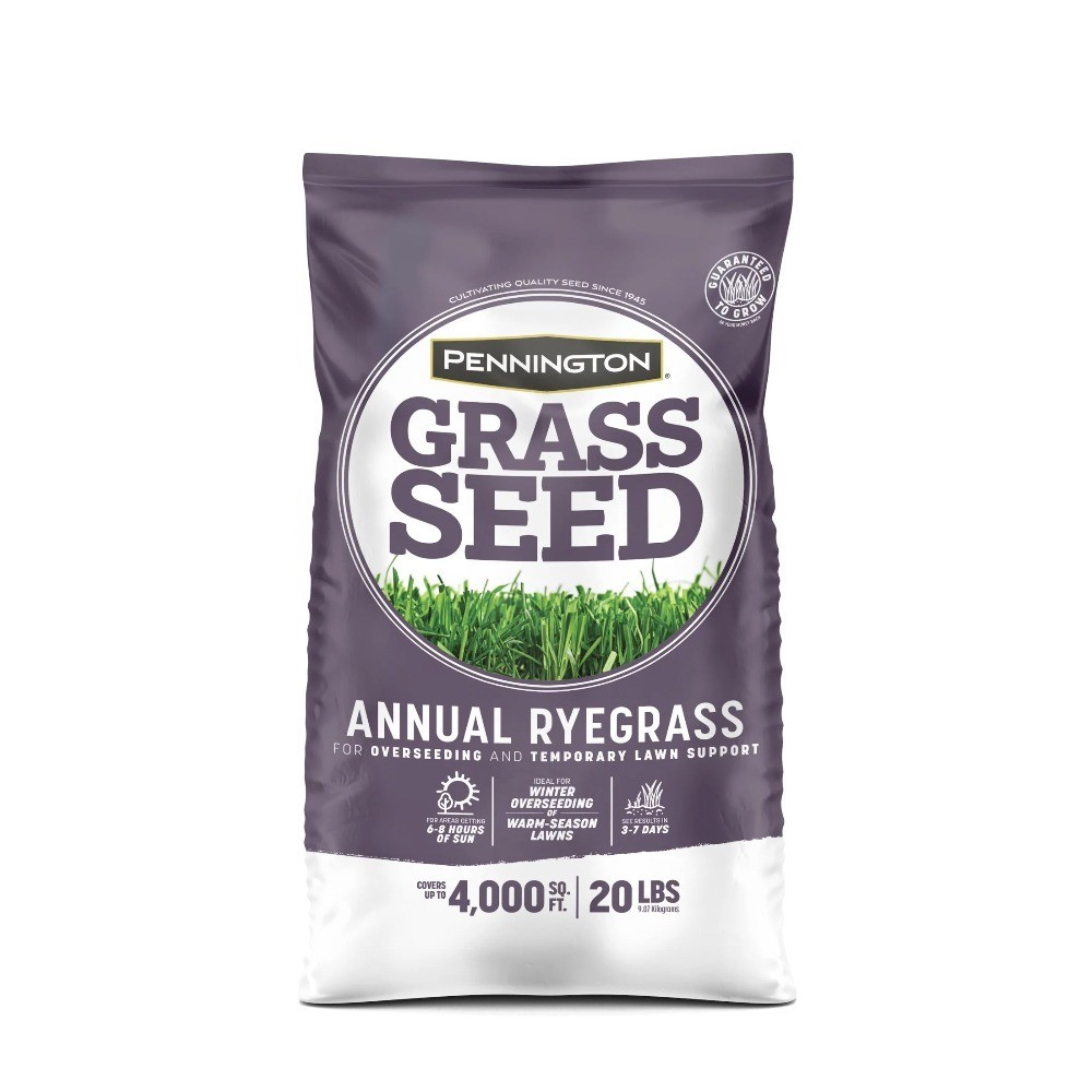 Annual Ryegrass Seed for Sun or Partial Shade 20 lb Lawn Pasture Turf Grass Seed
