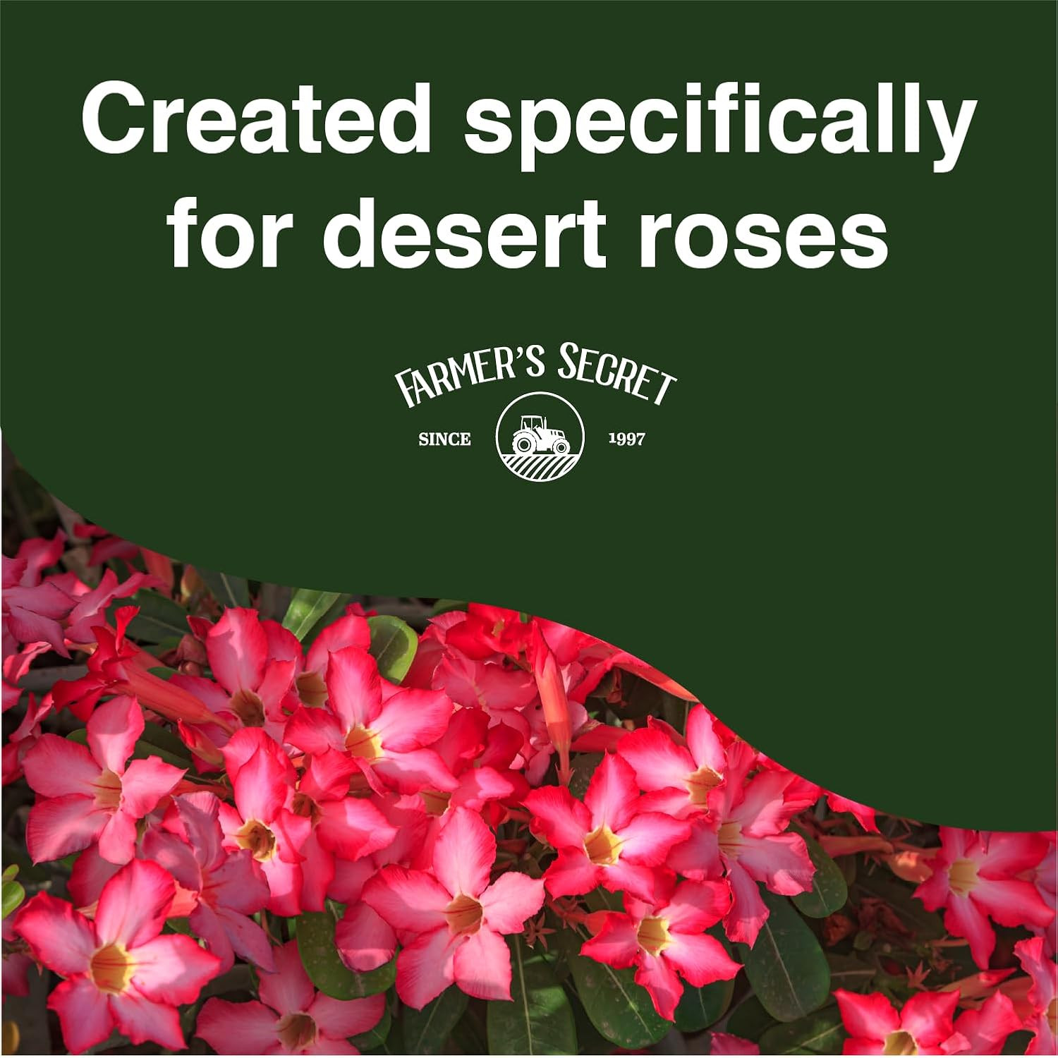 Desert Rose Liquid Plant Food Fertilizer (8oz) – Super Concentrated – Promote…