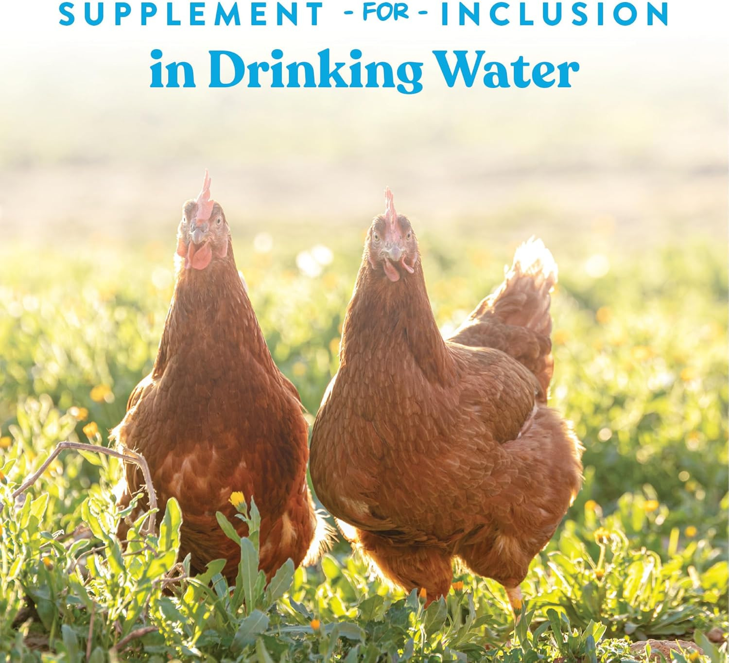 Hydro-Hen Poultry Electrolyte & Probiotic Supplement, Hydration Support for Chic