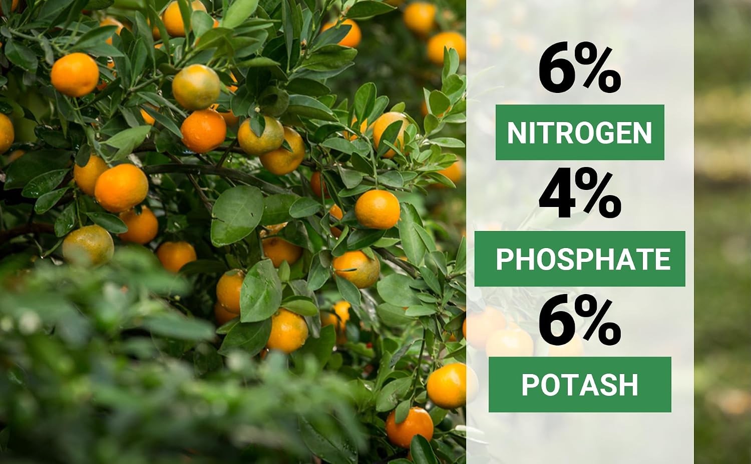 Avocado & Citrus Tree Fertilizer for Indoor & Outdoor Plants Quick-Release