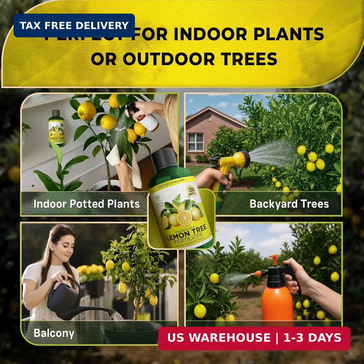 Leaves and Soul Professional Lemon Tree Fertilizer Liquid Concentrate – 6-4-6 Bl