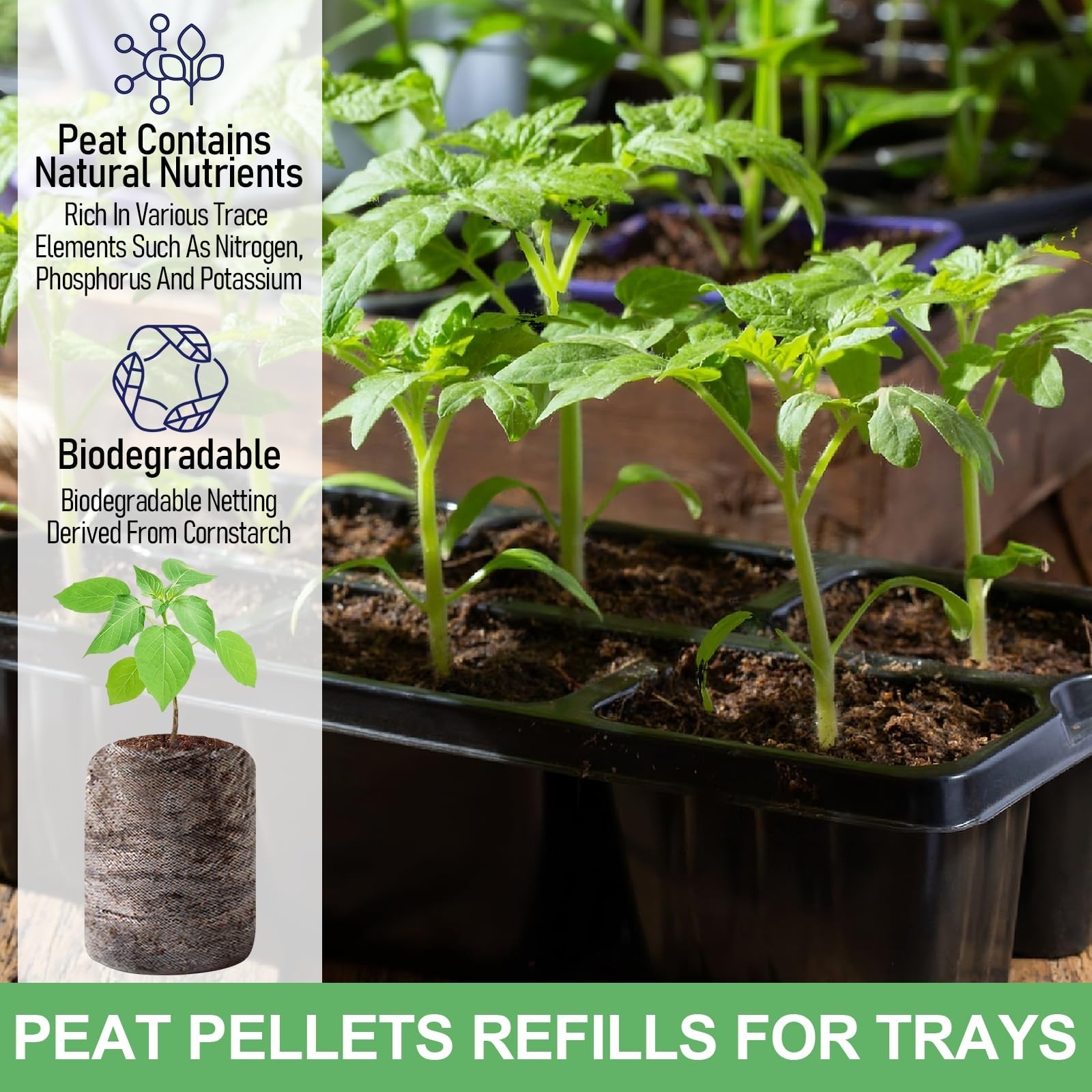 100 Pcs 50mm Seed Starter Peat Pellets – Compressed Pods for Seedlings, Herbs, F