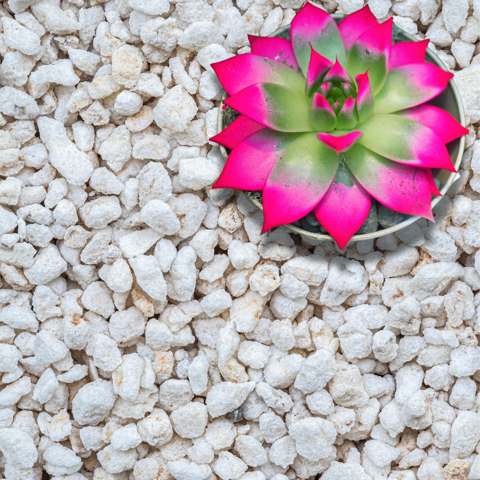GARDENWISE Perlite for Plants, Extra 3 qt, Extra-Coarse (Grade 4)