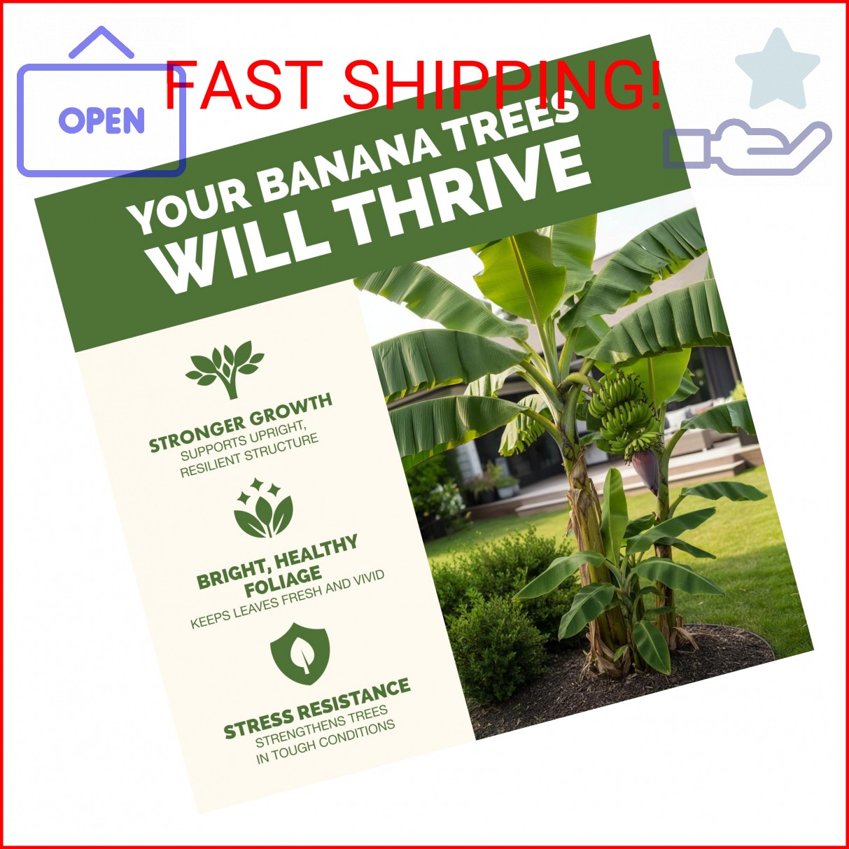Banana Tree Fertilizer – Liquid Fertilizer for All Banana Tree Varieties, Suppor