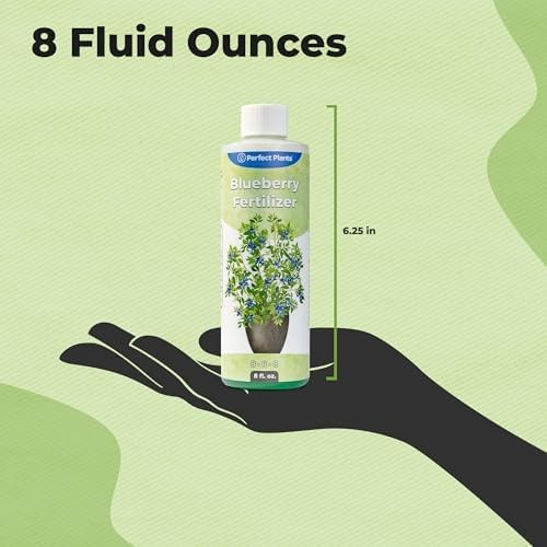 Liquid Blueberry Fertilizer by Perfect Plants | Berry Booster | Premium Ferti…