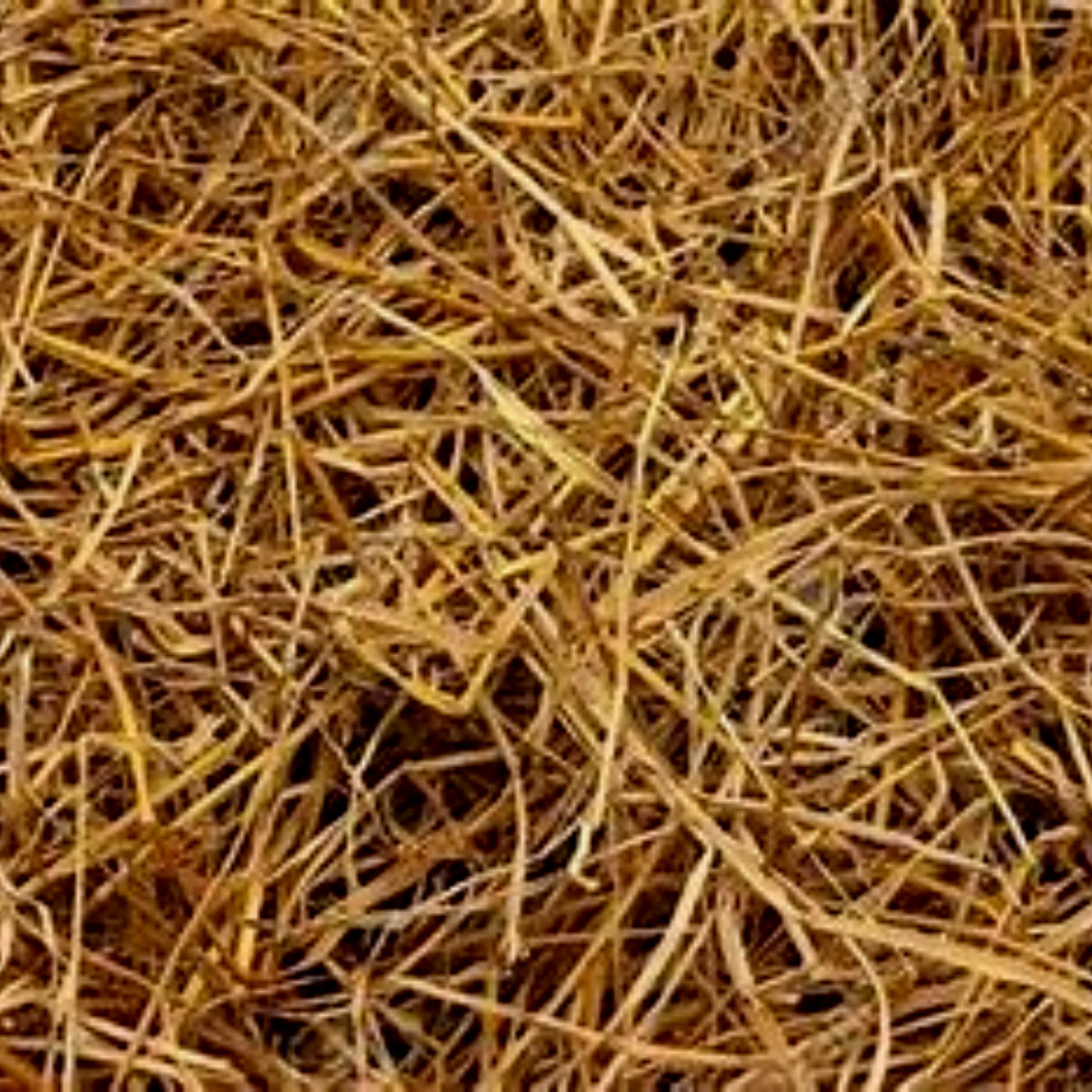 Dried Ceylon Rice Paddy Straw Organic Hand Picked Sri Lanka Leaves Mulch 60g