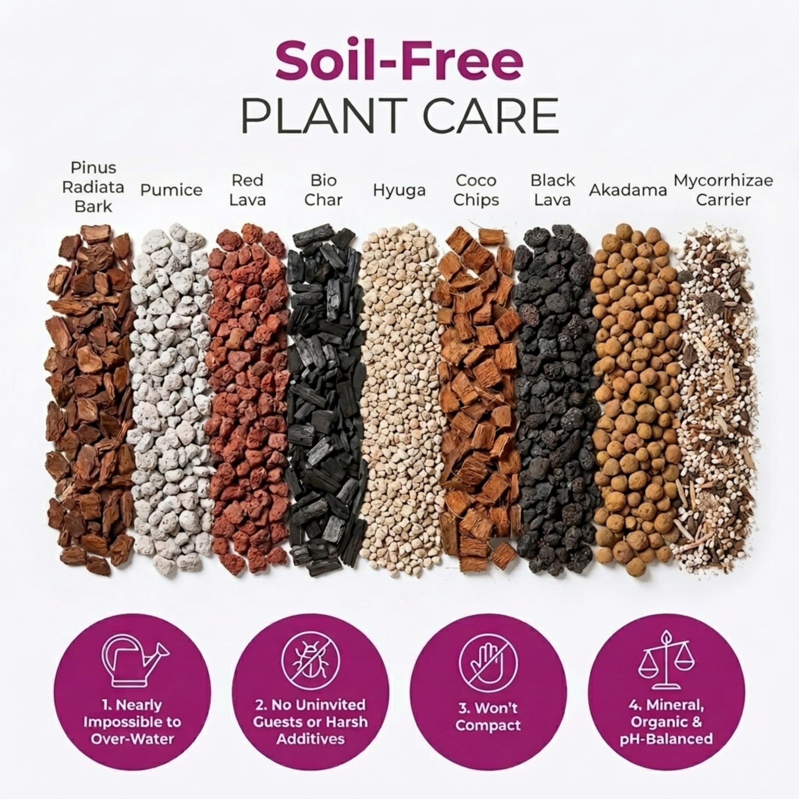 Molly’s Orchid Potting Mix – Premium Gritty Soilless Orchid Mix – Chunky High…