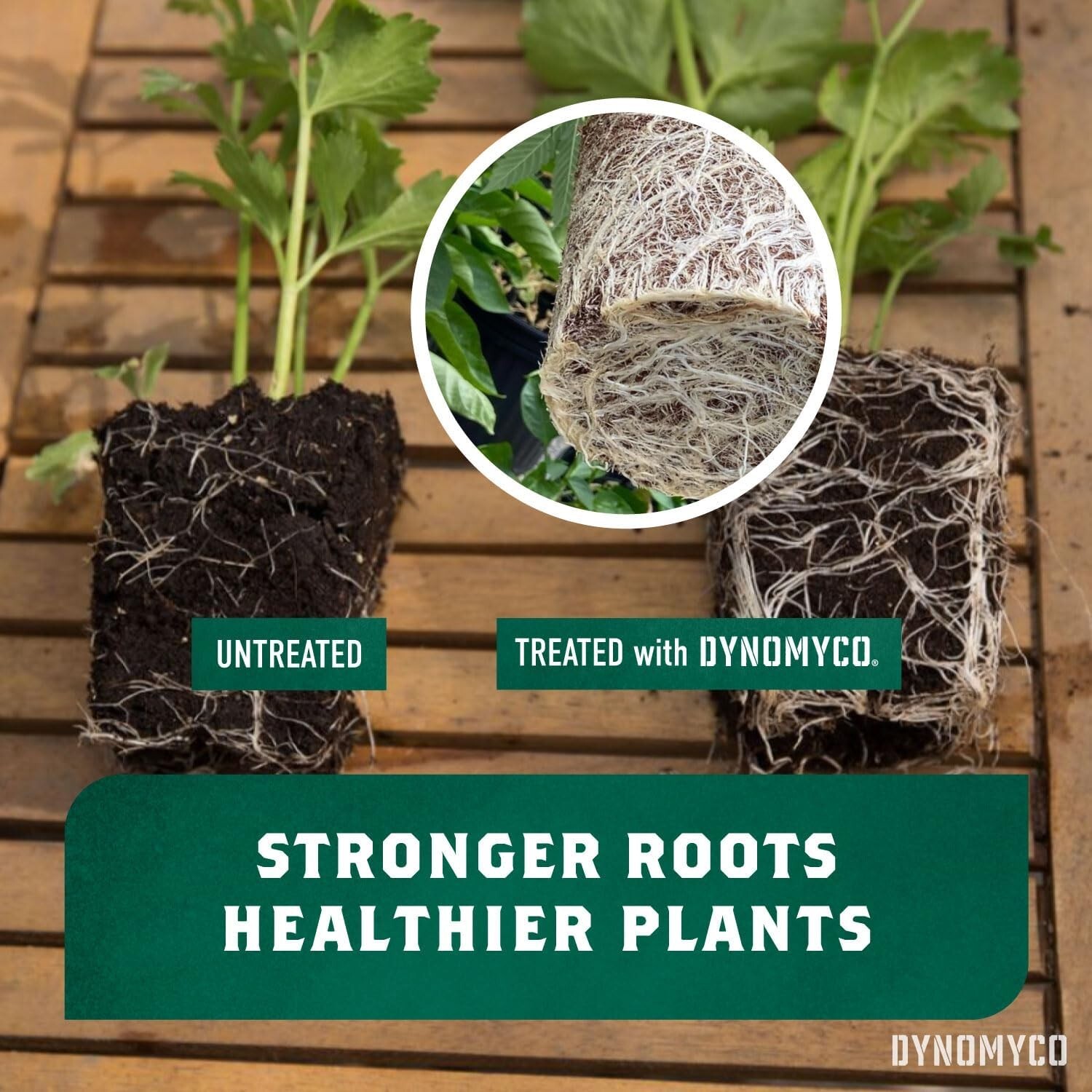 Concentrated Mycorrhizal Inoculant – 7oz Boost for Nutrient Uptake & Root Health